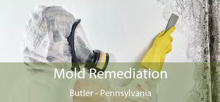 Mold Remediation Butler - Pennsylvania