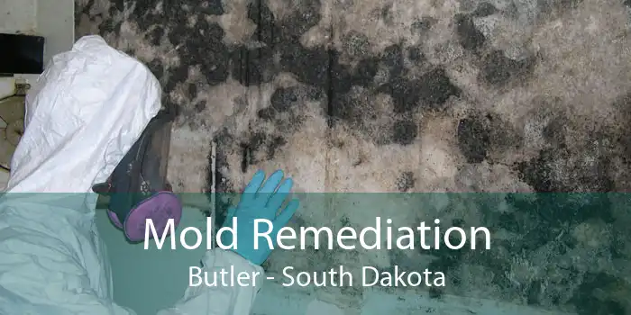 Mold Remediation Butler - South Dakota