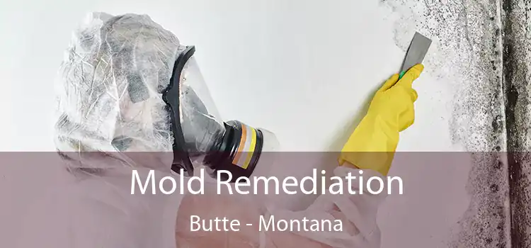 Mold Remediation Butte - Montana