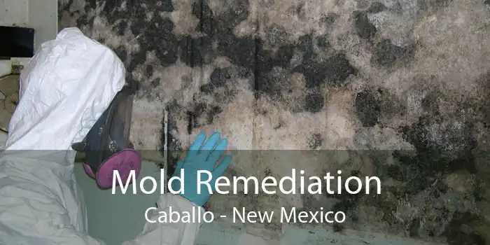 Mold Remediation Caballo - New Mexico