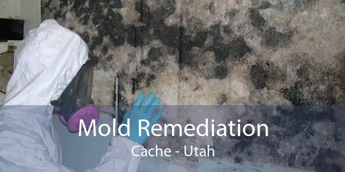 Mold Remediation Cache - Utah