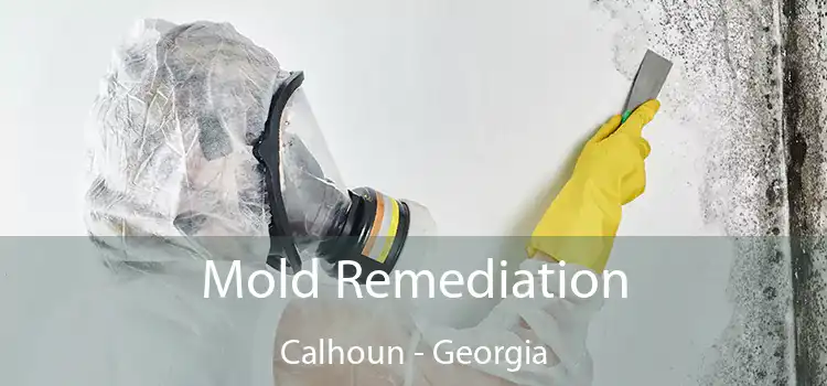 Mold Remediation Calhoun - Georgia