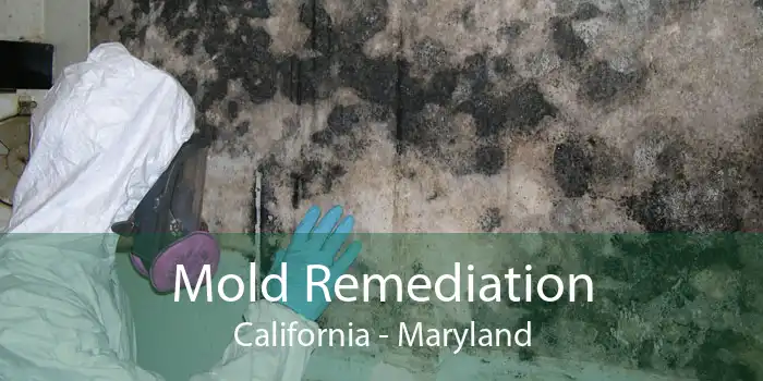 Mold Remediation California - Maryland