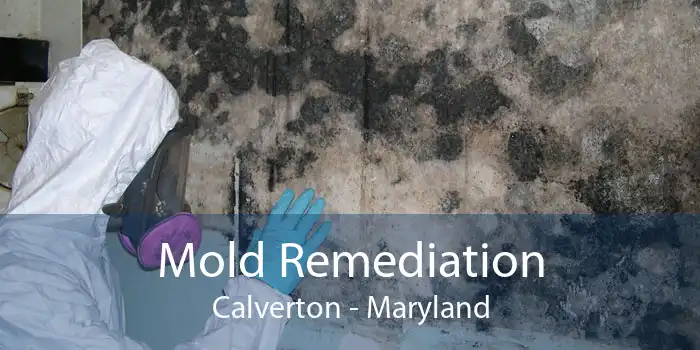 Mold Remediation Calverton - Maryland