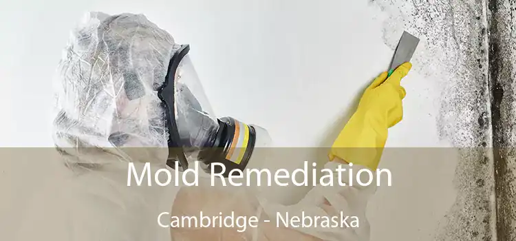 Mold Remediation Cambridge - Nebraska