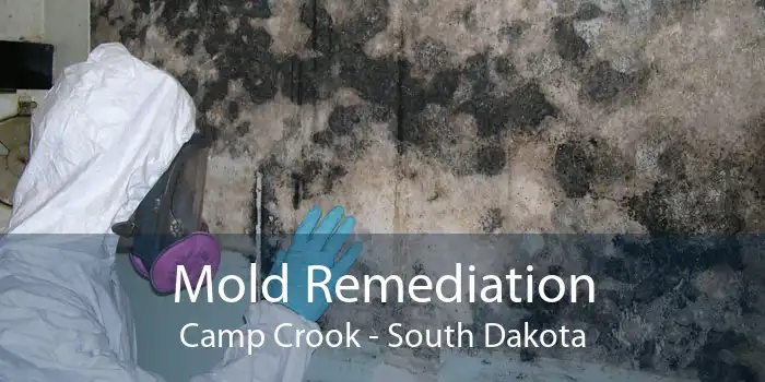 Mold Remediation Camp Crook - South Dakota