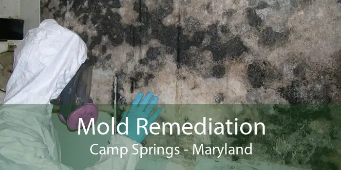 Mold Remediation Camp Springs - Maryland