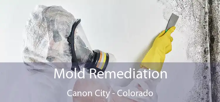 Mold Remediation Canon City - Colorado