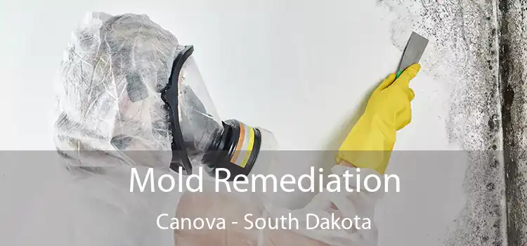 Mold Remediation Canova - South Dakota