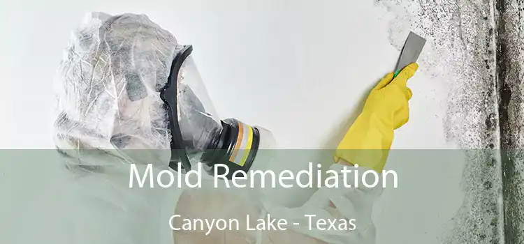 Mold Remediation Canyon Lake - Texas