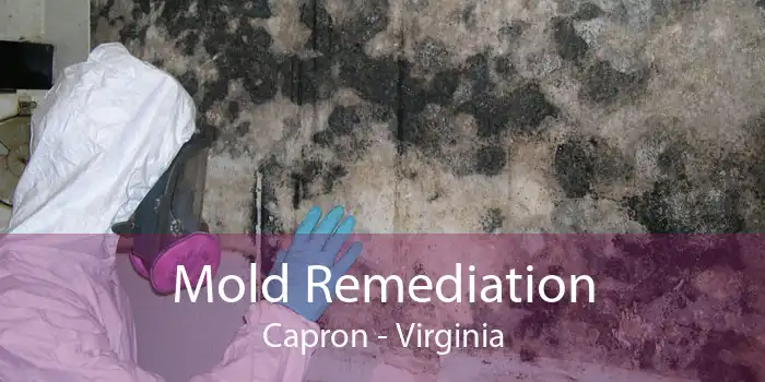 Mold Remediation Capron - Virginia