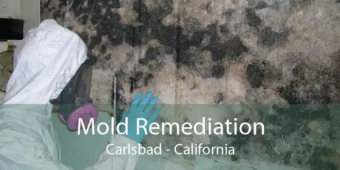 Mold Remediation Carlsbad - California