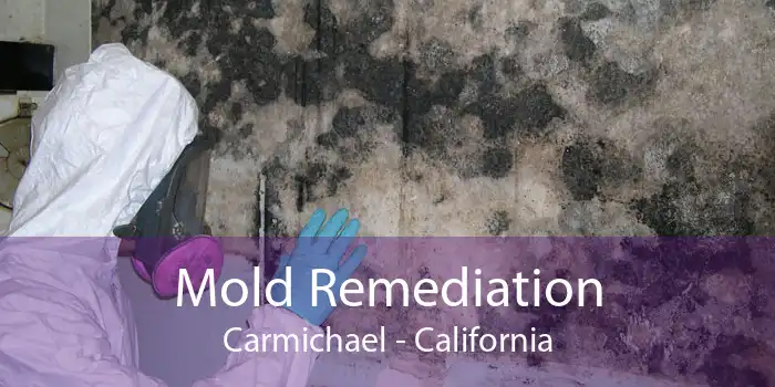 Mold Remediation Carmichael - California