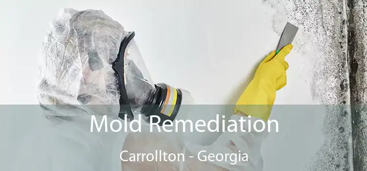 Mold Remediation Carrollton - Georgia