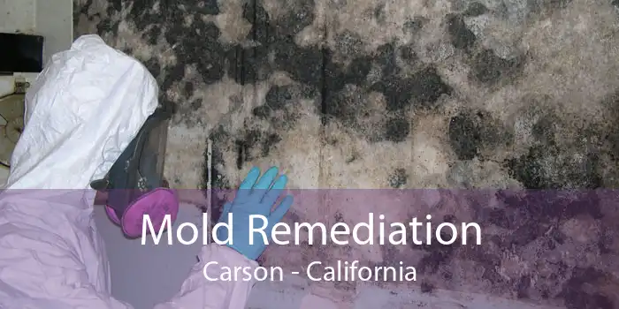 Mold Remediation Carson - California