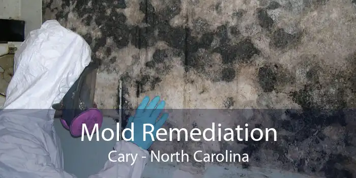 Mold Remediation Cary - North Carolina
