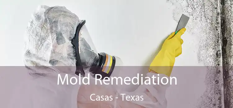 Mold Remediation Casas - Texas