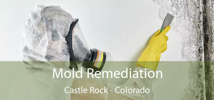 Mold Remediation Castle Rock - Colorado