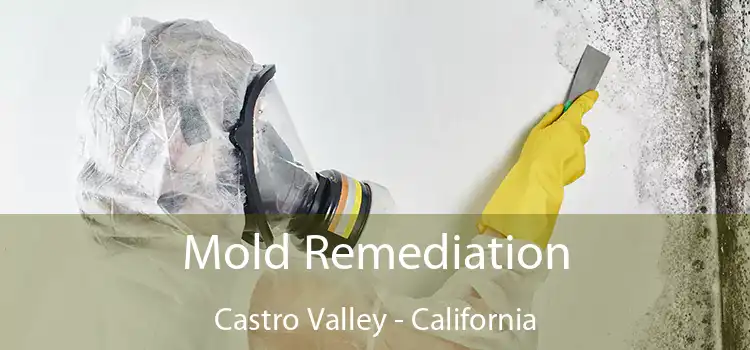 Mold Remediation Castro Valley - California