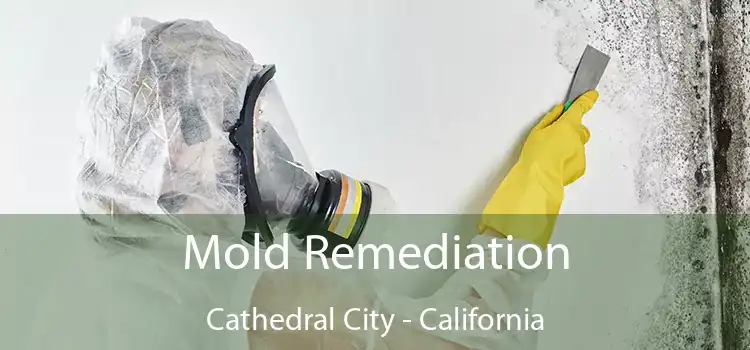 Mold Remediation Cathedral City - California