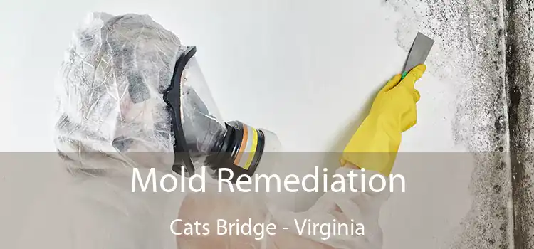 Mold Remediation Cats Bridge - Virginia