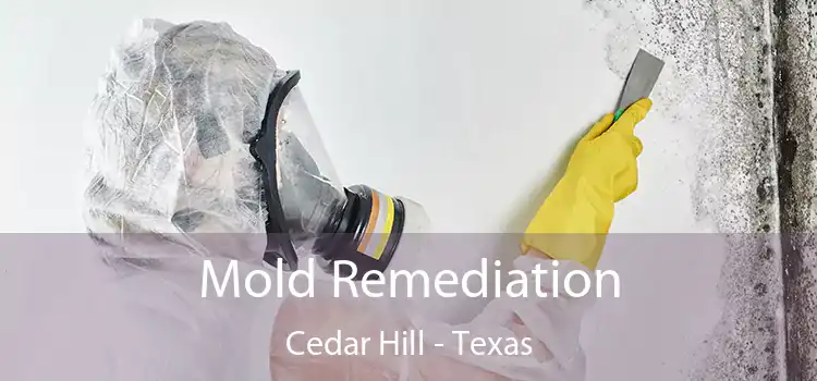 Mold Remediation Cedar Hill - Texas