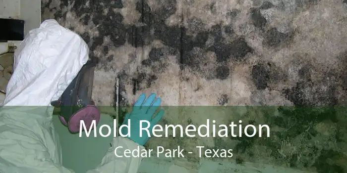 Mold Remediation Cedar Park - Texas