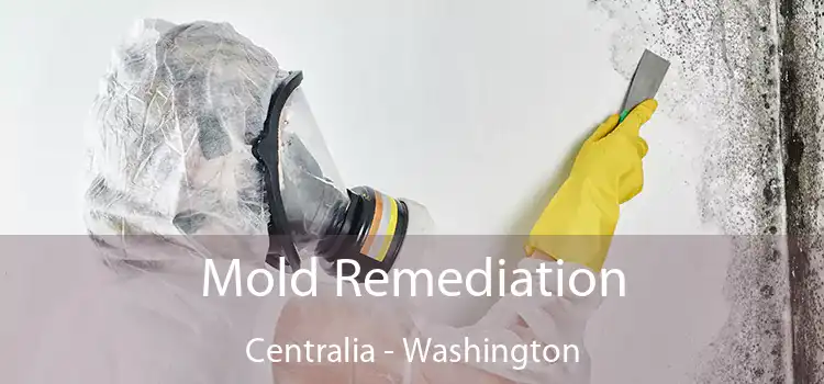 Mold Remediation Centralia - Washington