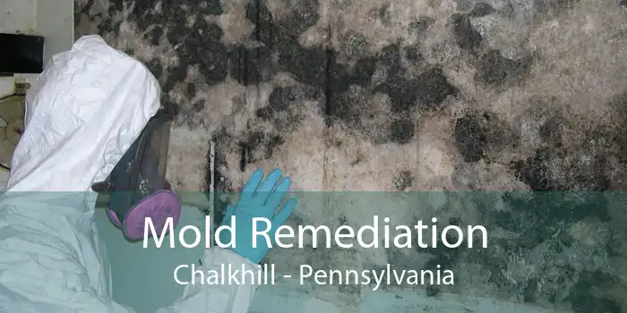 Mold Remediation Chalkhill - Pennsylvania