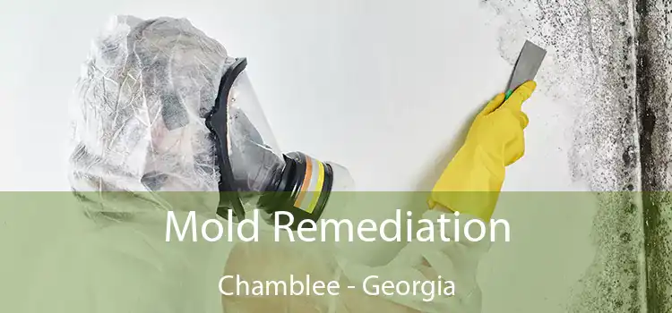 Mold Remediation Chamblee - Georgia