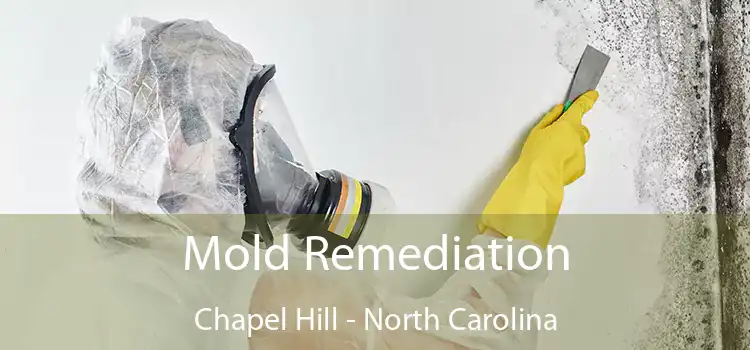 Mold Remediation Chapel Hill - North Carolina