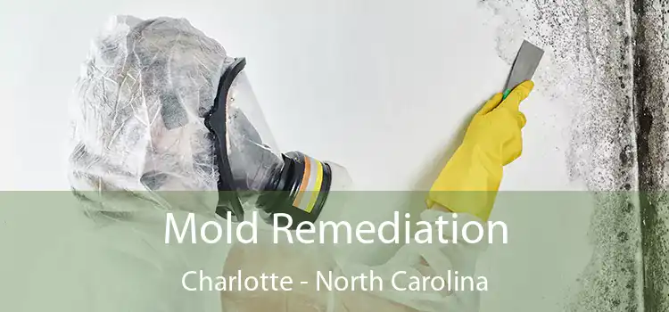 Mold Remediation Charlotte - North Carolina