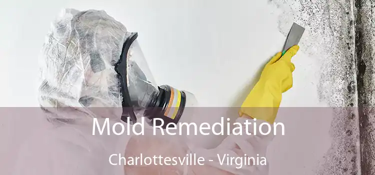 Mold Remediation Charlottesville - Virginia