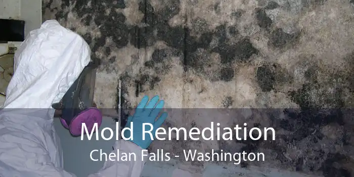 Mold Remediation Chelan Falls - Washington