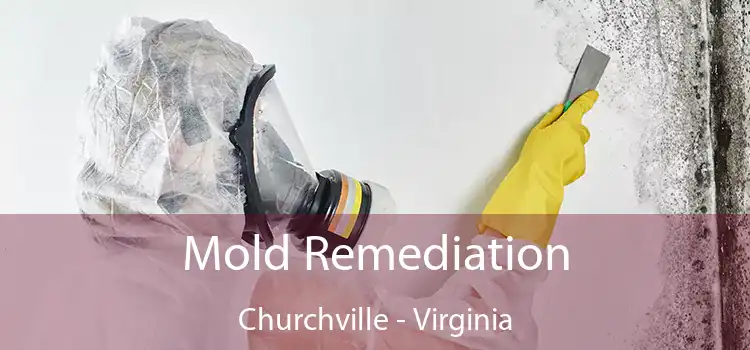 Mold Remediation Churchville - Virginia