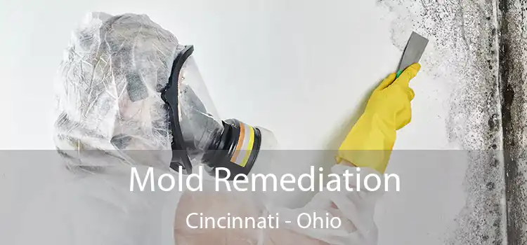 Mold Remediation Cincinnati - Ohio