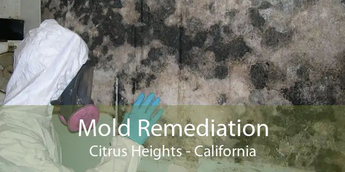Mold Remediation Citrus Heights - California