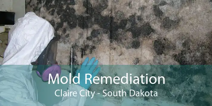 Mold Remediation Claire City - South Dakota