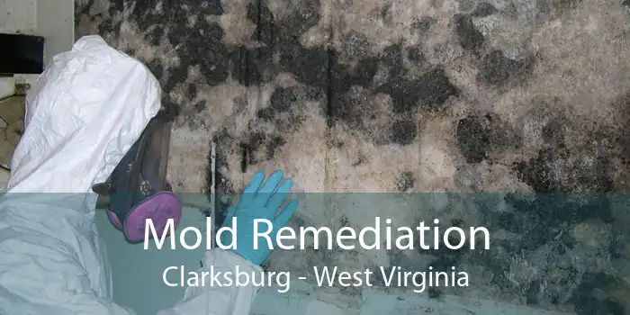 Mold Remediation Clarksburg - West Virginia