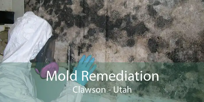 Mold Remediation Clawson - Utah