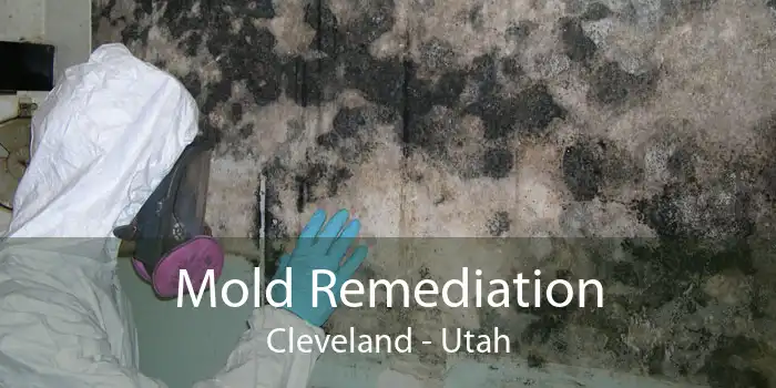 Mold Remediation Cleveland - Utah