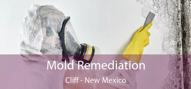 Mold Remediation Cliff - New Mexico