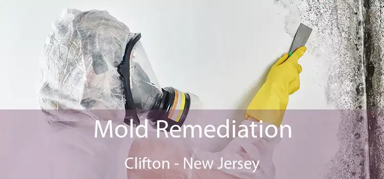 Mold Remediation Clifton - New Jersey