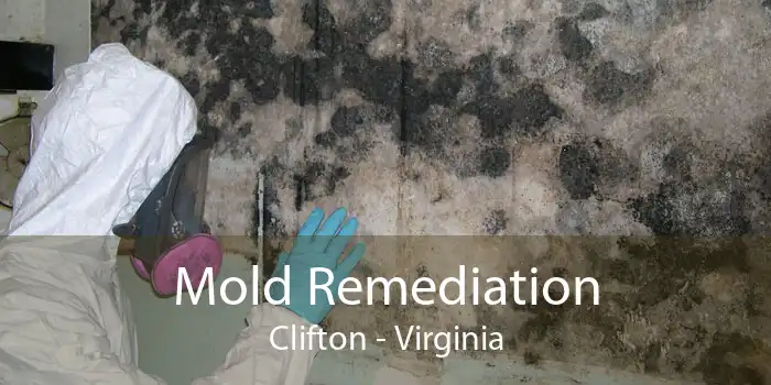 Mold Remediation Clifton - Virginia