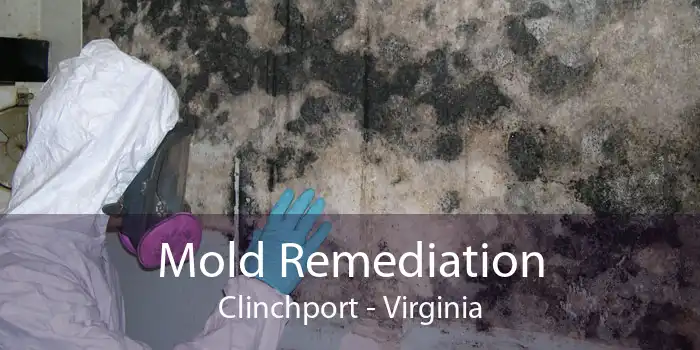 Mold Remediation Clinchport - Virginia
