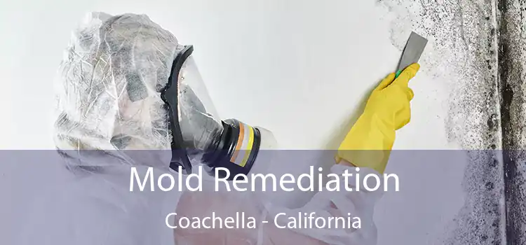 Mold Remediation Coachella - California