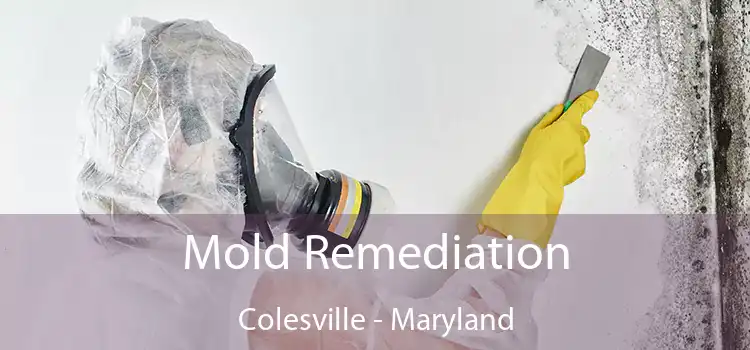 Mold Remediation Colesville - Maryland