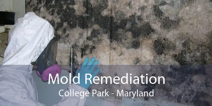 Mold Remediation College Park - Maryland
