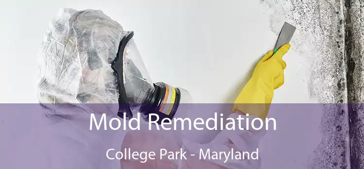 Mold Remediation College Park - Maryland