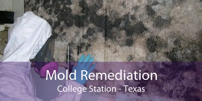 Mold Remediation College Station - Texas